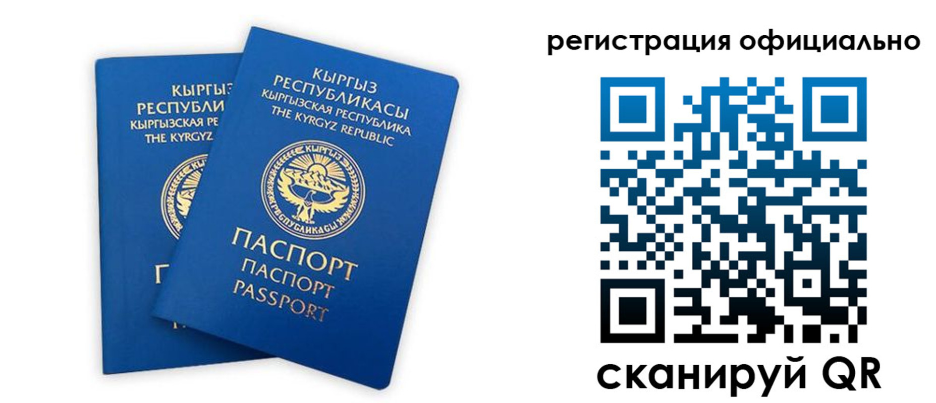 прописка поиск в Щёкино